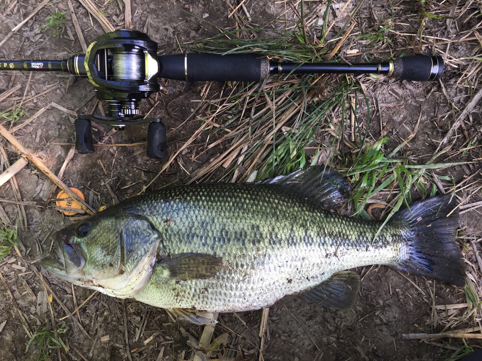 プリとアフターが入り混じる時期の攻略方法 Tokyo Fish Hunter